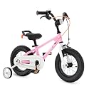 RoyalBaby Freestyle Kids Bike Dual Handbrakes Ages 3-10 Years