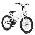 RoyalBaby Freestyle Kids Bike Dual Handbrakes Ages 3-10 Years