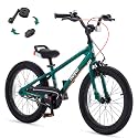 RoyalBaby EZ Kids Bike, 12-20 Inch Balance & Pedal, Safer for Beginners