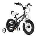 Royalbaby Freestyle Outdoor Children's Bicycle Dual Handbrakes Sporty Kid Bike with Training Wheels and Adjustable Seat, 12 Inch, Black