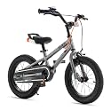 RoyalBaby Freestyle 7 Kids Bike Toddlers 16 Inch Wheel Dual Handbrakes Bicycle Beginners Boys Girls Ages 4-7 Years, Kickstand and Water Bottle Included, Grey