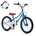 RoyalBaby Kids Bike, Terra EZ Balance to Pedal Convertable Bicycle, 14 16 18 Inch Easy Learn Balancing to Biking Boys Girls Ages 3-9 Years Beginners