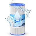ROYOR PA90 Pool Filter Cartridge, Fits Hayward C900 Pool Filter Cartridge