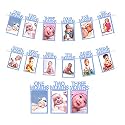 Rozi Decoration 1st Birthday 12 Cards Monthly Photo Banner For Baby Girls Birthday -Blue
