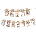 Rozi Decoration 1st Birthday Monthly Photo Banner – 12 Cards Brown 6CM