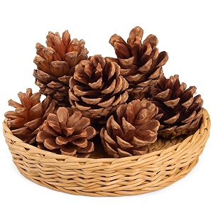 rozi decoration merry christmas wooden pine cone hanging ornament for xmas tree dcor christmas tree decoration items wooden pine cone christmas tree pack of 6 pcs