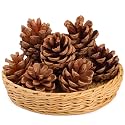 Rozi Decoration Merry Christmas Wooden Pine Cone Hanging Ornament for Xmas Tree Dcor, Christmas Tree Decoration Items Wooden, Pine Cone Christmas Tree Pack of 6 Pcs