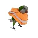 Adjustable Parrot Cone Collar, Safe and Practical Cotton Collar to Prevent Bites and Licking Wounds, to Help heal (2M)
