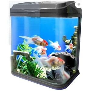 rs 230 el led aquarium kit with filter system complete fish tank setup colour black 10l size