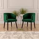 Velvet Dining Chairs with Cushions, Set of 2, for Living Room and Office (Green, Set of 2)