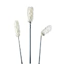 Rubbermaid Commercial Products Overhead Duster Head, White, Pack of 12