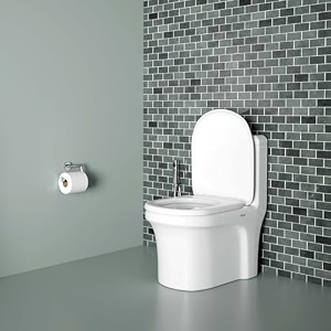 ruhe 26x14x29 inches scala one-piece s-trap ceramic western toilet commode  white glossy finish dual-flushing system anti-bacterial glaze soft-close seat cover  includes flushing kit gasket