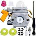 Ruixing OEM 308054111 Carburetor for Homelite 26B Blower UT26BVL3VNM UT26BVL3EMC VNM UT26HBV UT26HBVEMC UT26HBVVNM 26CC Leaf Blower Parts 308054034 308054208 Ryobi RY26BVLG Blower