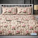 RUMPS 380 TC Premium Heavy Cotton 7D