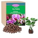 Rurtsva Natural Clay Pebbles 17LBS– 8mm-15mm Expanded Leca Balls for Hydroponics Plants Drainage Grow Media Reusable Soil Amendment for Orchids, Succulents, Aquaponics