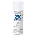 Rust-Oleum 249090 Painter's Touch Acrylic Spray Paint (Gloss White - 340 Grams)