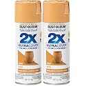 Rust-Oleum 249103 Painter's Touch 2X Ultra Cover Spray Paint, 12 oz, Gloss Khaki (Pack of 2)