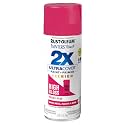 Rust-Oleum Painter's Touch 2X Ultra Cover Spray Paint, Prickly Pear