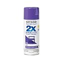 Rust-Oleum Painter's Touch 2X Ultra Cover Spray Paint, Gloss Grape