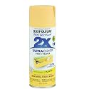 Rust-Oleum Painter's Touch 2X Ultra Cover Spray Paint, Satin Summer Squash
