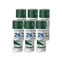 Rust-Oleum Painter's Touch 2X Spray Paint, Semi-Gloss Hunter Green