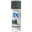 Rust-Oleum Painter's Touch 2X Spray Paint, Satin Hunt Club Green