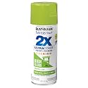 Rust-Oleum Painter's Touch 2X Ultra Cover Spray Paint, Tropical Leaf