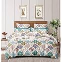 Premium Cotton Elastic Fitted Bedsheets with 2 King Size Pillow Covers | Double Bed with All Around Elastic 210 TC | (72"x78" (King, Multicolor)