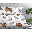 Premium Cotton Elastic Fitted Bedsheets with 1 Size Pillow Cover | Single Bed with All Around Elastic 210 TC | (48"x72" Single, Multi Box)