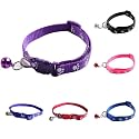 RvPaws Dog, Puppy, Cat &amp; Kitten Buckle Paw Print Adjustable Pet Collar with Bell, X-Small Size 10 MM Nylon Collar Paw Printed Belt for Neck (Neon Color)