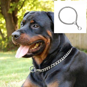 Rvpaws Stainless Steel Chock Chain for Dog