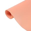 Rylan Multipurpose Anti-Slip Mat Sheet for Fridge