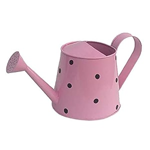 watering can decorative metal watering can with long spout 25l vintage galvanized plant waterer for indoor houseplants amp flowers  farmhouse style rust-proof garden