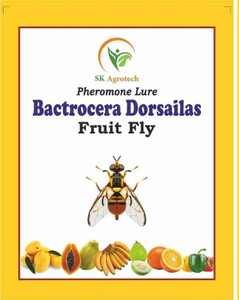 S K Agrotech Bactrocera Dorsailas- fruit fly