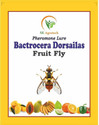 S K Agrotech Bactrocera Dorsailas- fruit fly