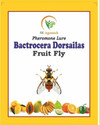 S K Agrotech Bactrocera Dorsailas- fruit fly