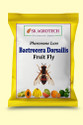 S K Agrotech Bactrocera Dorsailas- fruit fly