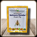 S K Agrotech Bactrocera Dorsailas- fruit fly