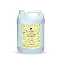 SacredEarth Natural Car Wash Shampoo, Better Shine After Wax, 10X Finish, High Foaming Formula, Concentrate Liquid for Spot Free Cleaning 5000 ml
