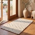 SAFAVIEH Arizona Shag Accent Rug 2'3"x4', Soft Plush Ivory &amp; Beige ASG741A