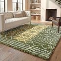 SAFAVIEH Arizona Shag Rug 10'x14', Soft Plush Boho Green &amp; Ivory ASG741X