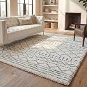 SAFAVIEH Arizona Shag Rug 11'x15', Soft Plush Boho Ivory &amp; Grey ASG741F
