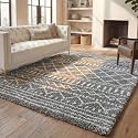 SAFAVIEH Arizona Shag Rug 11'x15', Soft Plush Boho Brown &amp; Ivory ASG741B