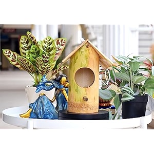 safest bamboo organic bird nest purely handmade sparrowsmall birds material type real bamboo size medium  bamboo bird houses for eco-friendly birding