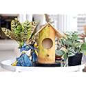 Safest Bamboo Organic Bird Nest Purely Handmade Sparrow/Small Birds, Material Type Real Bamboo Size Medium | Bamboo Bird Houses For Eco-Friendly Birding