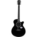 SAGA Wood (Sa-600C-Bk) Concert Acoustic Guitar (Black)