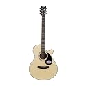 Saga Sa-600C-Na Concert Cutaway Acoustic Guitar (Natural) - Wood