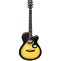 SAGA SA-600C-SB Concert Cutaway Wood Acoustic Guitar (Sunburst)