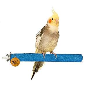sage square 6 inch bird perch parrot perch natural wood sand platform - nail trimmer cage accessory for birds amp small animals - perfect for cockatiels parakeets conures amp moreoptimal nail health