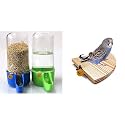 Sage Square 80ml Tube Shape Cage Bird Food, Seed, Water Feeder Plastic Dispenser Cum Bowl with Removable Tray (Multi Color) (Pack of 2) Natural Wood Quarter Platform 4 Inche